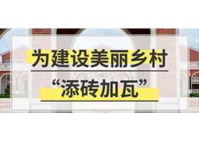 給你一個億！為村民建設(shè)一條美麗鄉(xiāng)村，你將如何設(shè)計？
